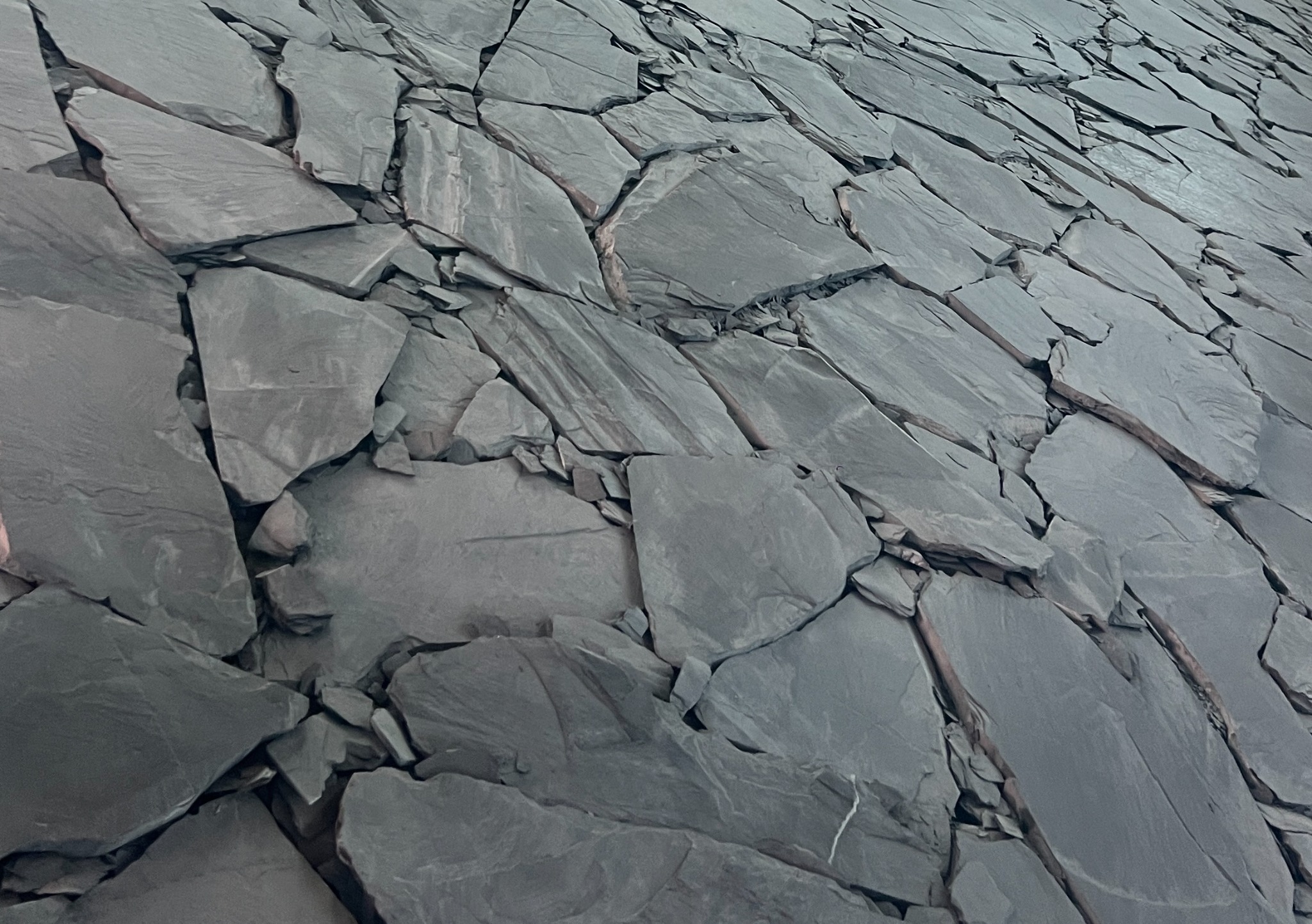 Fault Lines