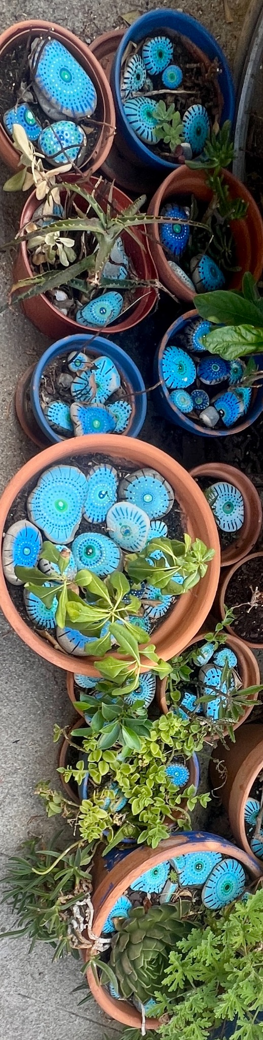 Terracotta pots planted with greenery and filled with blue hand-painted stones.