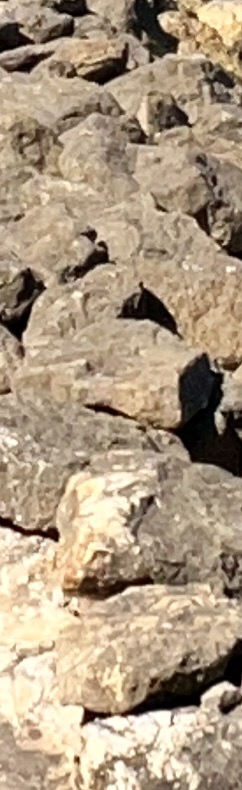 Narrow close-up of fractured brown rocks in sunlight.