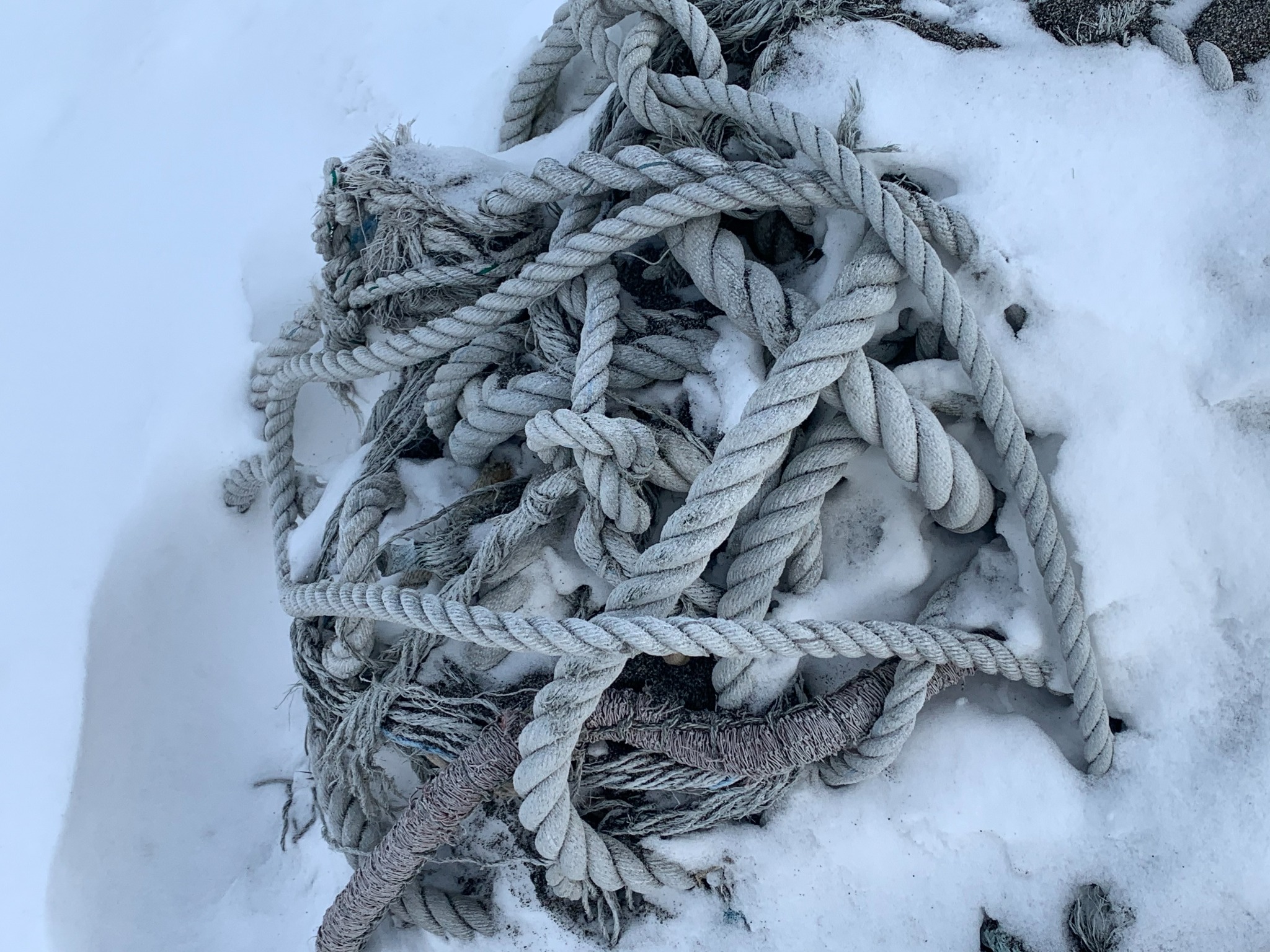 Tangled frost-covered ropes partly buried in snow.